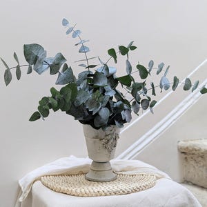 Peut inclure: Un arrangement décoratif de branches d'eucalyptus dans un vase blanc orné. Le vase est posé sur un dessous-de-plat rond et tissé, lui-même sur une nappe blanche. Les feuilles d'eucalyptus sont d'un vert discret, créant une esthétique naturelle et apaisante.