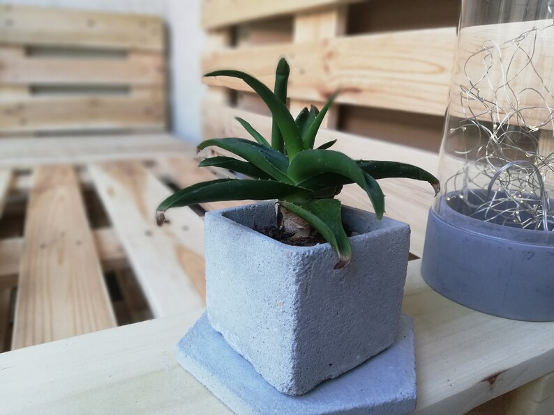 Modern Concrete Plant Pot Small Concrete Planter Planter with Drainage Hole