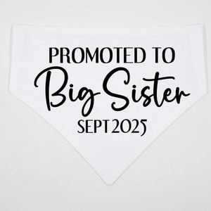 Pregnancy Announcement Dog Bandana | Big Sister | Cat Bandana | Baby Announcement Bandana