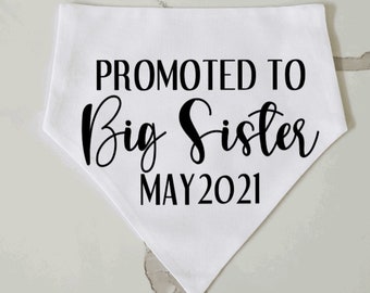 Pregnancy Announcement Dog Bandana | Big Sister