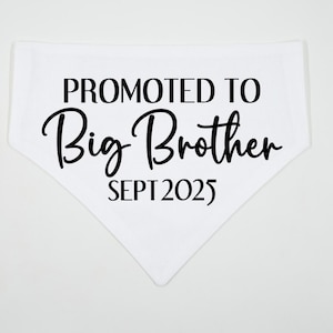 Pregnancy Announcement Dog Bandana | Big Brother | Promoted to Big Brother