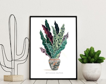 Rattlesnake Calathea Art Print by artist - High Quality Giclee Great Gift for art lovers