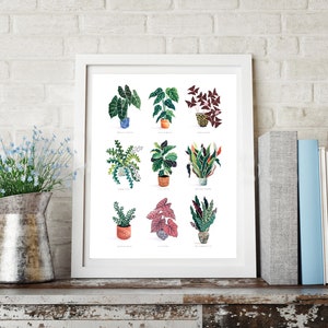 Multi Houseplant Plant Print - All from original gouache paintings by me!