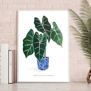 Plant Painting of Green Velvet Alocasia High Quality Giclee Print by artist me image 4