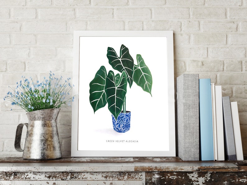 Plant Painting of Green Velvet Alocasia High Quality Giclee Print by artist me image 3
