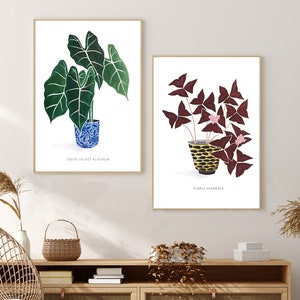 Plant Painting of Green Velvet Alocasia High Quality Giclee Print by artist me image 6