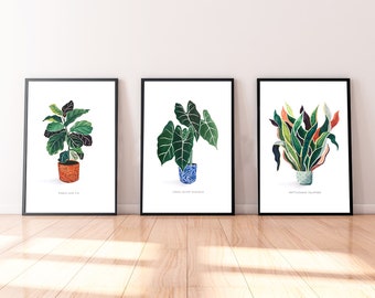 Plant Print - Mix & Match - Set of 3 Fine Art High Quality Art Prints - Plant Houseplant Botanical Green Painting by Artist