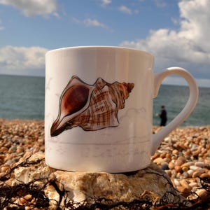 May include: White ceramic mug featuring a brown seashell design. The mug is resting on a beach with pebbles and seaweed.
