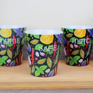 Kitchen Herbs Indoor Plant Pot - Cooking & Gardening Gifts - Ceramic Small Flower Pot