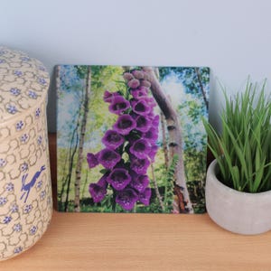 Può includere: Una piastrella decorativa quadrata con un'immagine vibrante di fiori di digitale purpurei su uno sfondo di betulle. La piastrella è esposta su una superficie di legno, con un contenitore in ceramica e una piccola pianta in vaso.