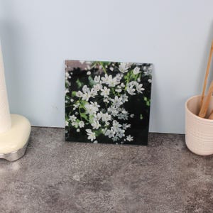 Può includere: Piastrella decorativa quadrata con un primo piano di fiori selvatici bianchi su uno sfondo verde scuro. I fiori hanno petali delicati e sono raggruppati. La piastrella è esposta su una superficie grigia.