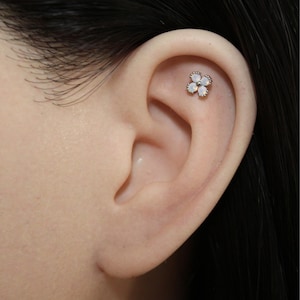 May include: A small, flower-shaped earring with four white opal stones set in a silver-colored metal. The earring is positioned on the upper ear cartilage, with the ear and surrounding skin visible.