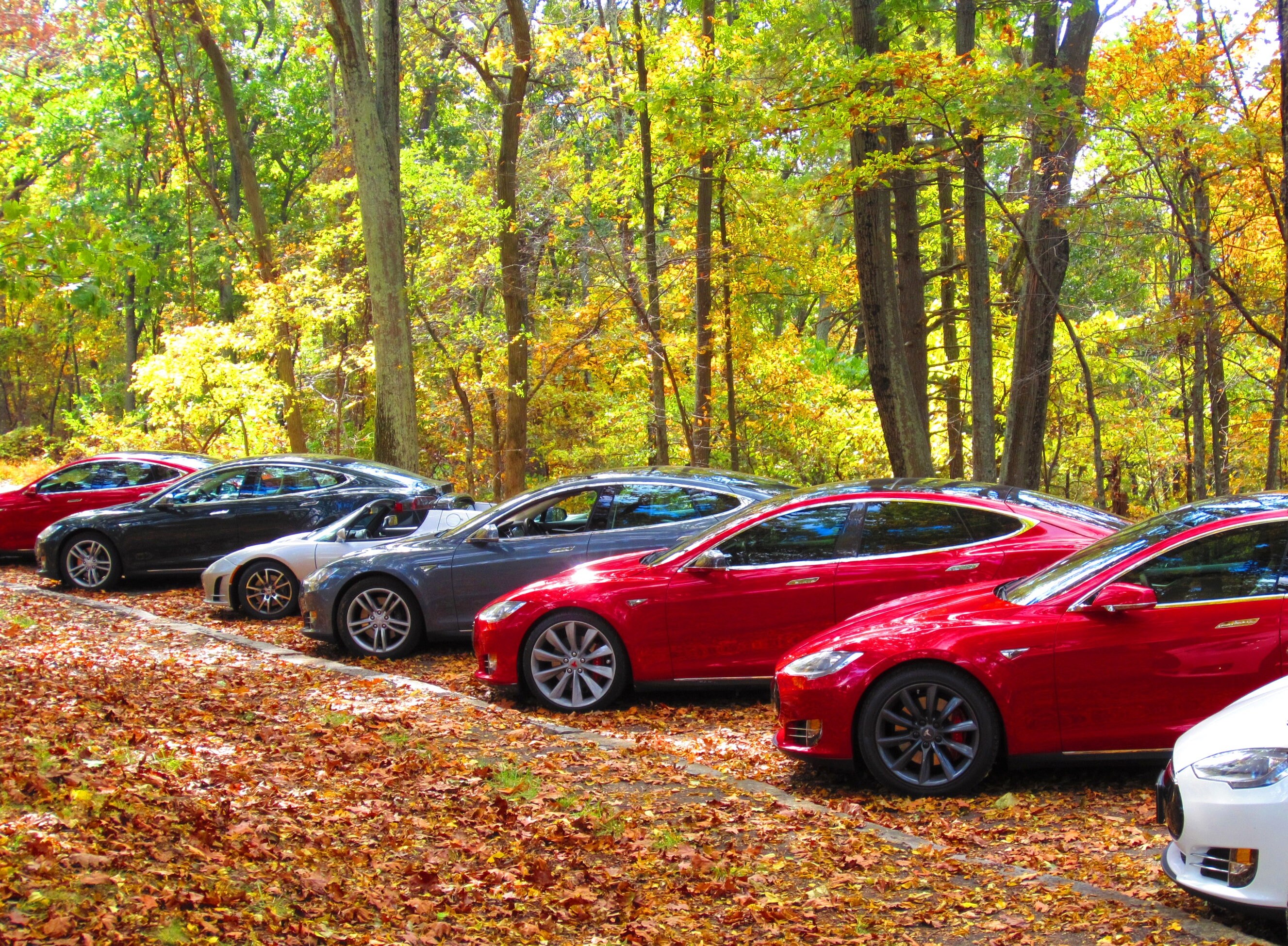 2022 TesCalendar Tesla Calendar Model 3 Model Y S X Etsy