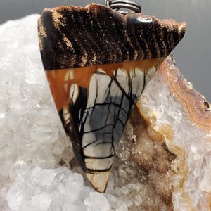 Petrified Wood and Picasso Jasper Intarsia double-sided Cabochon Pendant