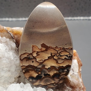 Deschutes Picture Jasper cabochon