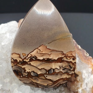 Mountain scene Deschutes Picture Jasper cabochon from Oregon