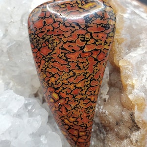 Top grade Gembone/Dinosaur bone cabochon