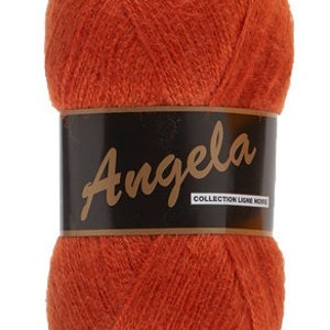 maxi pelote Angela 100gr,500 m, laine et acrylique ,douce et fine 028