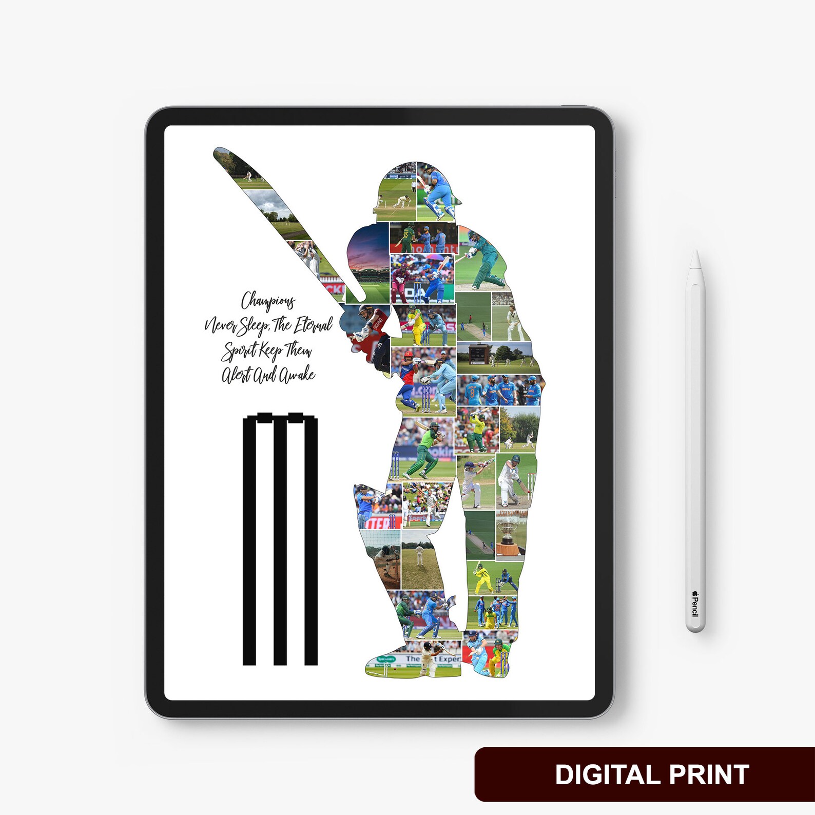Cricket Photo Collage Cricket Gifts for Dad Cricket Gifts Etsy