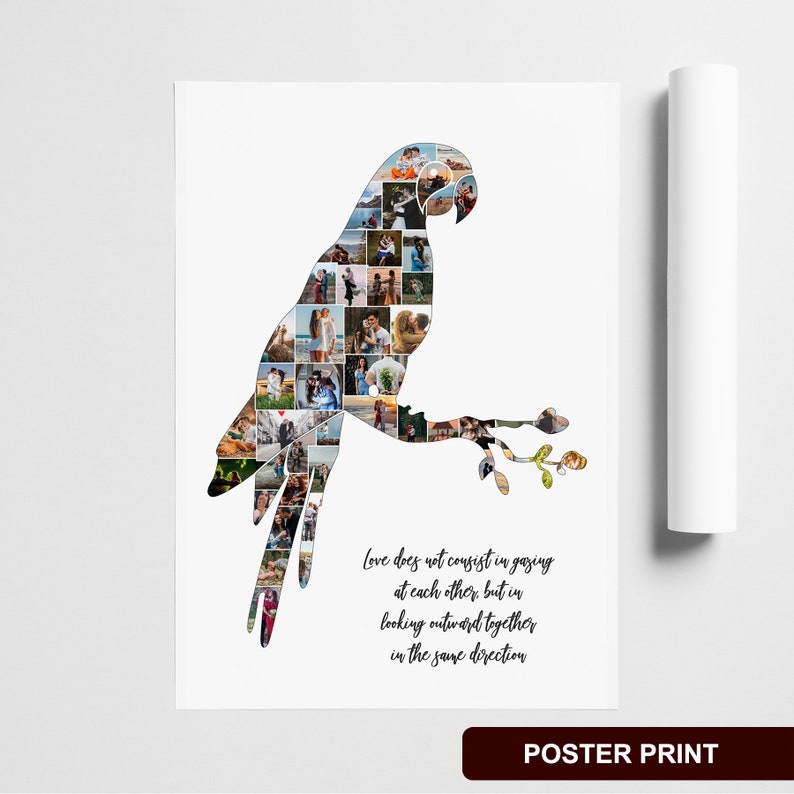 Beautiful parrot print photo collage for pet remembrance.