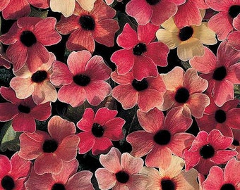 Black Eyed Susan Etsy