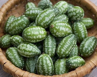 Cucamelon Heirloom Non GMO (15 Seeds)