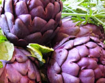 ARTICHOKE CARCIOFO ROMANESCO Classic Roman Seed/Heirloom 10