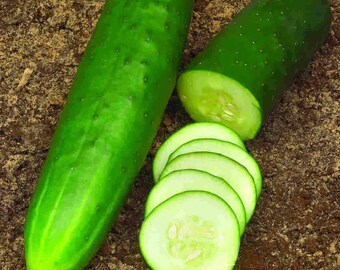 Cucumber Straight Eight Seeds NON-GMO 25 seeds per package. Organic 