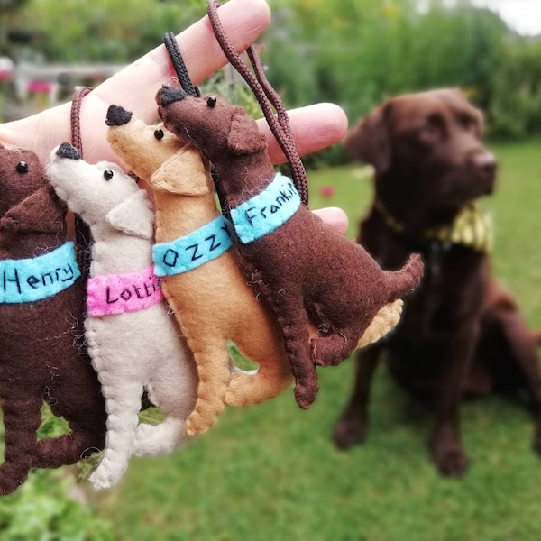 Labrador Gifts 60+ Gift Ideas for 2024