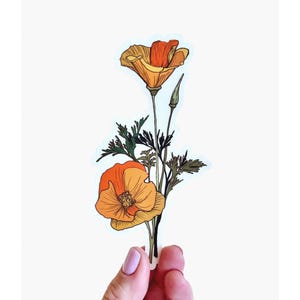 Sticker pavot de Californie - Sticker fleurs sauvages imperméables transparents