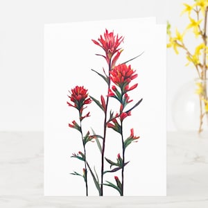 Peinture au pinceau indienne carte de voeux, fleurs sauvages occidentales, aquarelle abstraite, fleurs sauvages rouges, décoration occidentale, carte de correspondance de fleurs