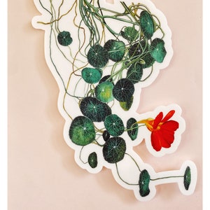 Red Orange Nasturtium Waterproof sticker  flower sticker, laptop decal,  Waterproof Vinyl Decal, Botanical Aesthetic