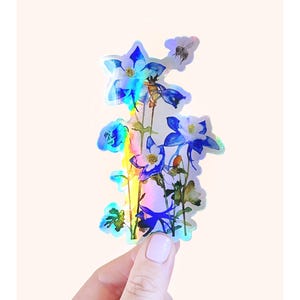 Adesivo holográfico de flores silvestres de Columbine, adesivo de vinil para plantas, decoração de casa no Colorado, ilustração de plantas, flores das Montanhas Rochosas
