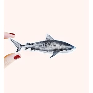 Tiger Shark Sticker ,Great Striped Shark, Small Gift, Ocean Home Decor, Sea-life Illustration, Die Cut Vinyl