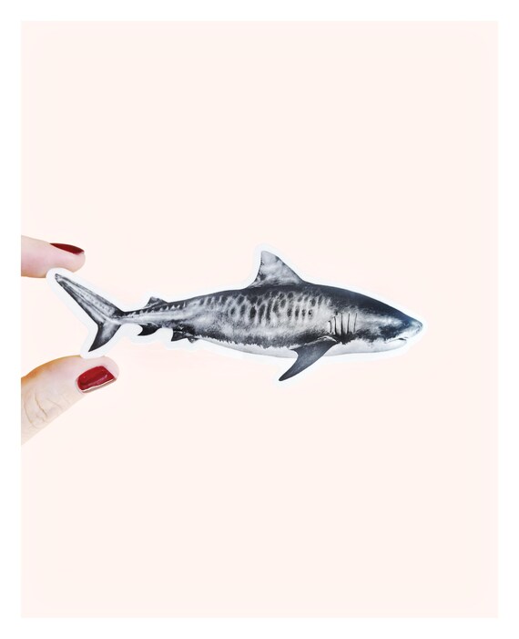 Tiger Shark Sticker: Waterproof Die Cut Vinyl Decal