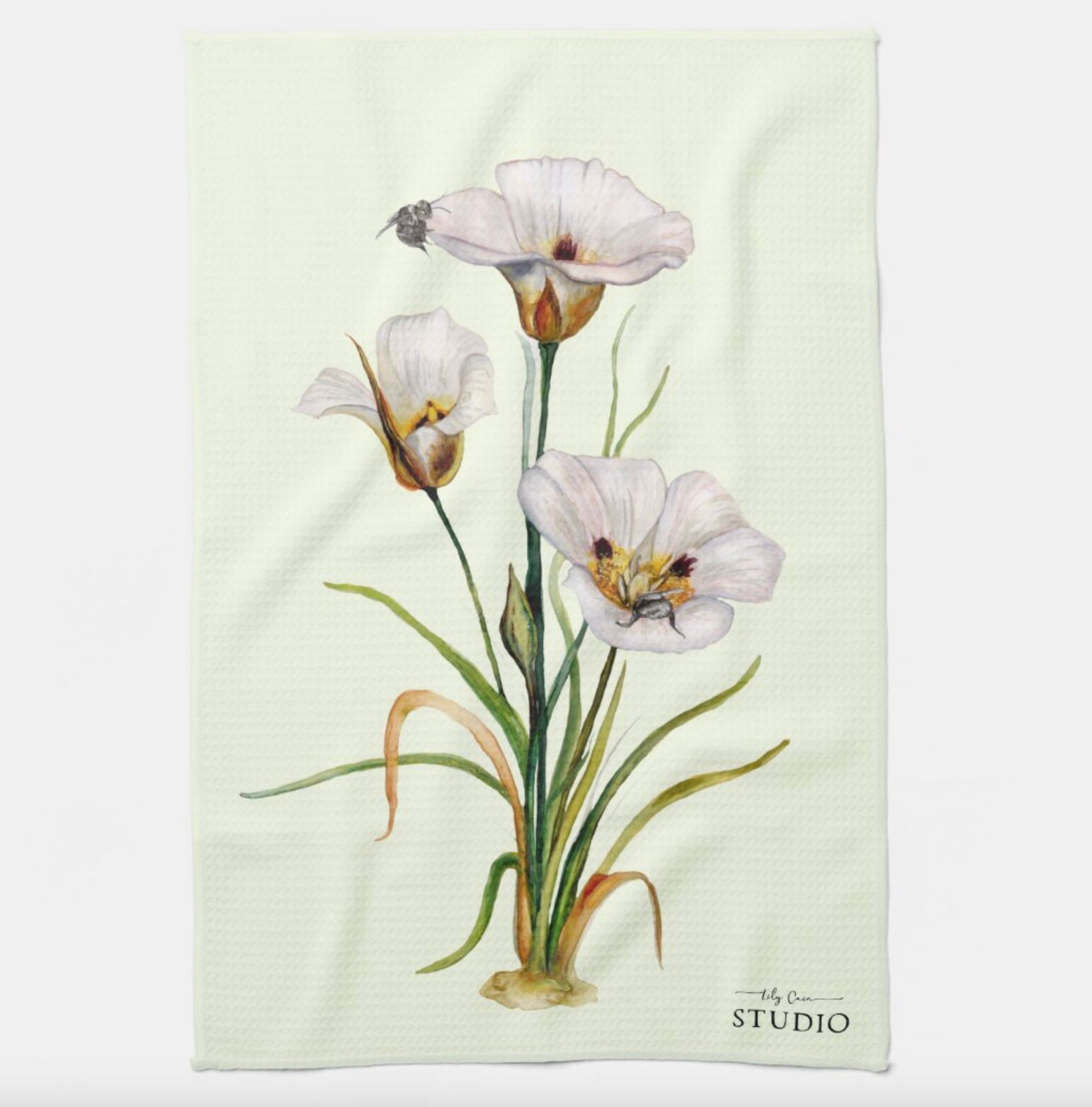 Sego Lily Art Etsy