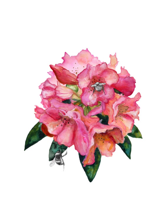 Rhododendron Aquarell Druck: Rosa Blumen & Hummeln - Etsy.de