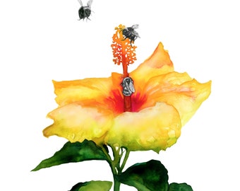 Aquarell, Hawaii Hibiskus Blume, Abstraktes Dekor, Bienenkunst, Wandkunst, Wohndeko, Hummel Illustration