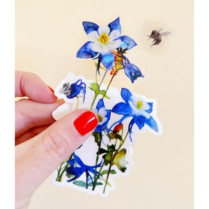 Pegatina de flor silvestre de aquilegia azul transparente, pegatina de vinilo de planta, decoración del hogar de Colorado, ilustración de planta, pegatina de arte occidental