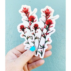 Indian Paintbrush Sticker: Clear Watercolor Wildflower Decal