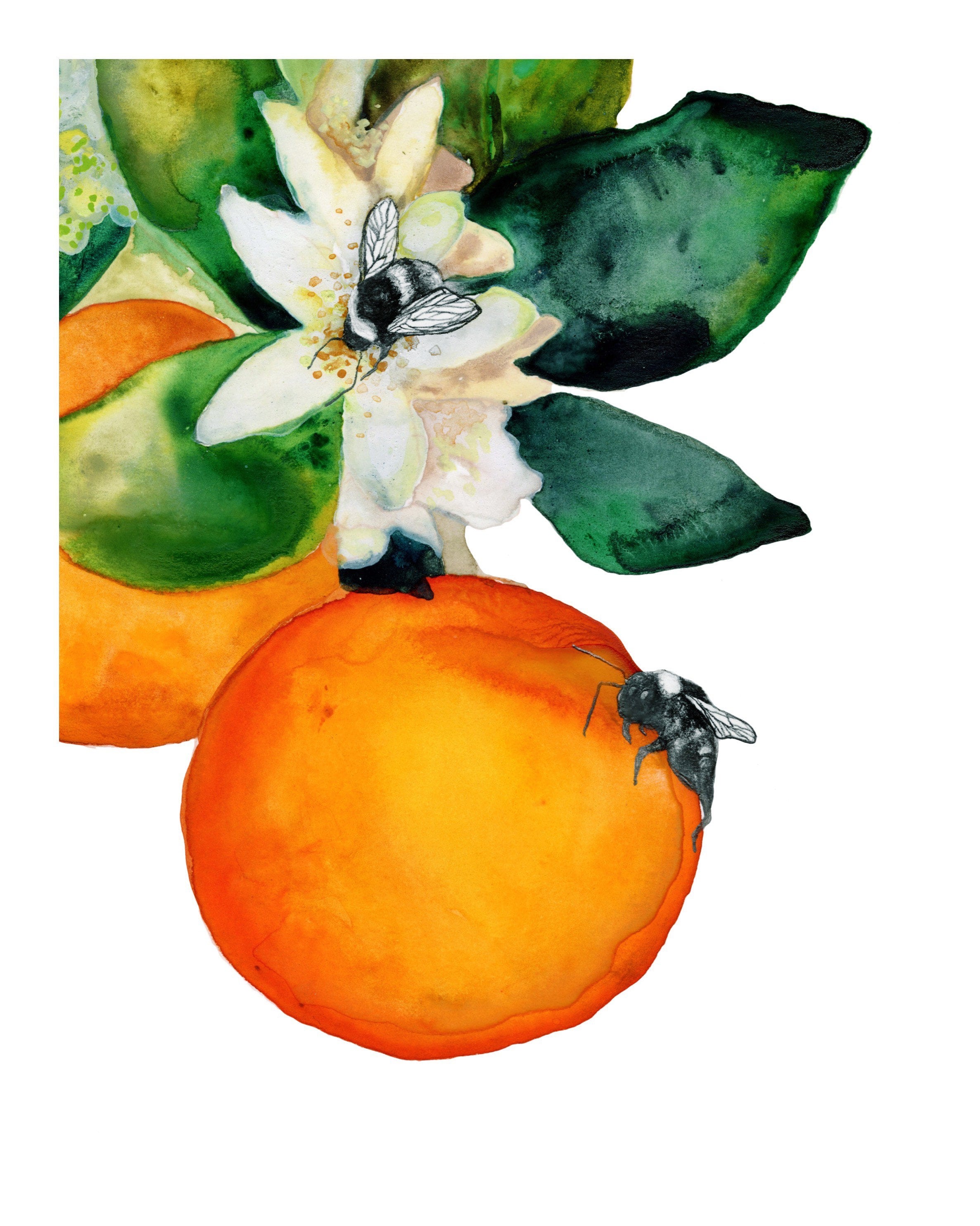 油絵アート（orange flower） 油絵アート（orange flower）
