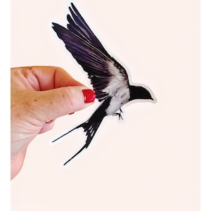 Bird Lover Sticker – Barn Swallow Vinyl Decal from Watercolor Art