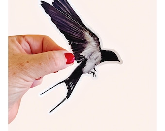 Bird Lover Sticker – Barn Swallow Vinyl Decal from Watercolor Art