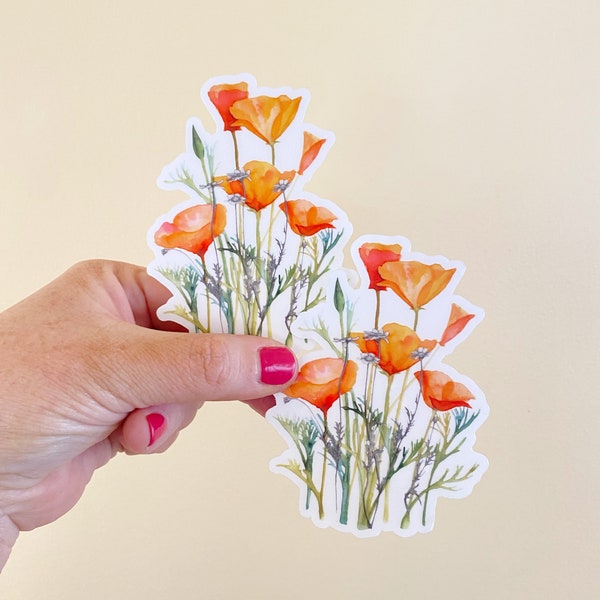 Clear Watercolor Orange Califorinia Poppies sticker, transparent decal Chamomile Daisy Drawing nature illustration, waterproof wildflower