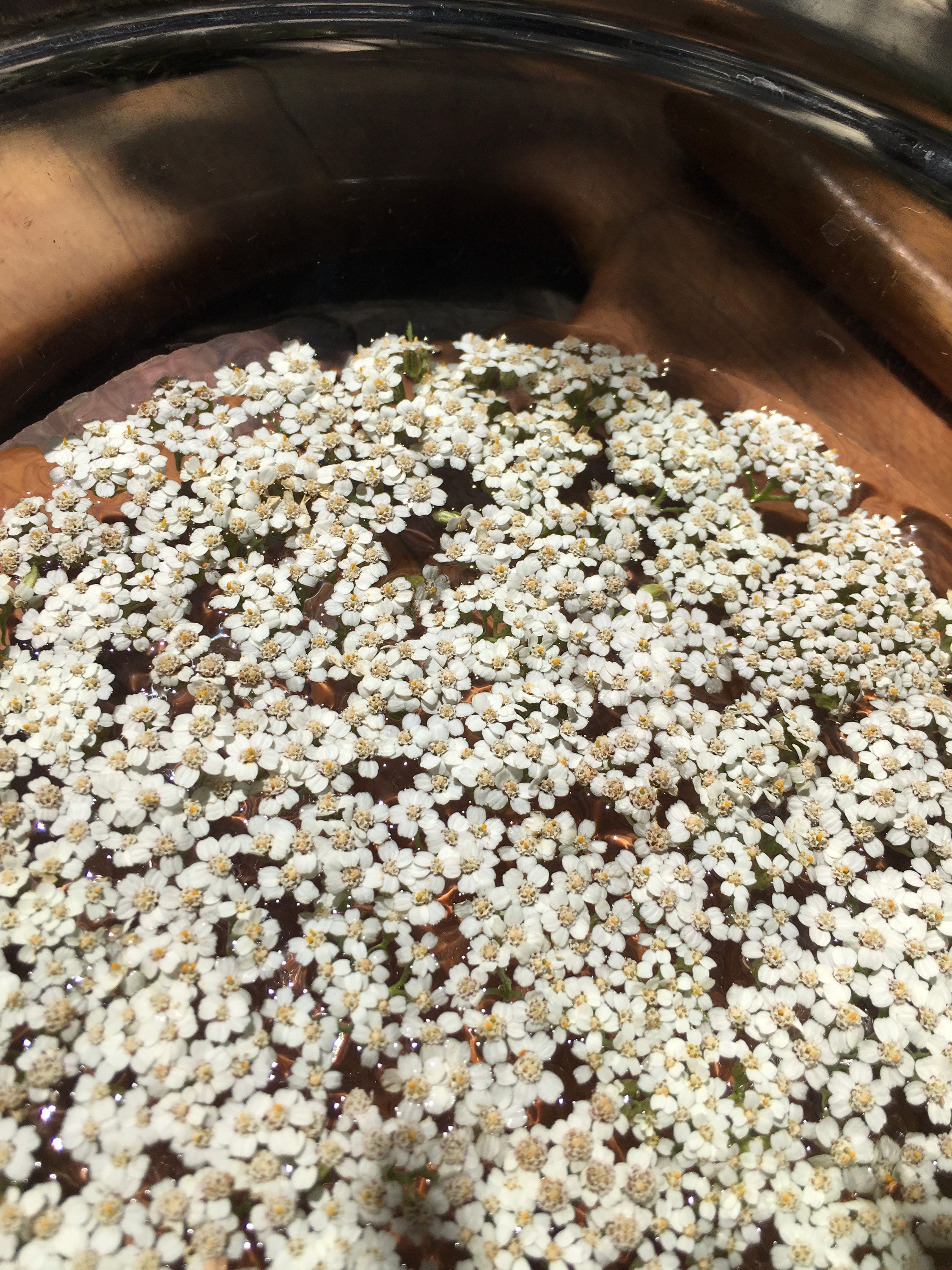 Essence de Fleur Yarrow