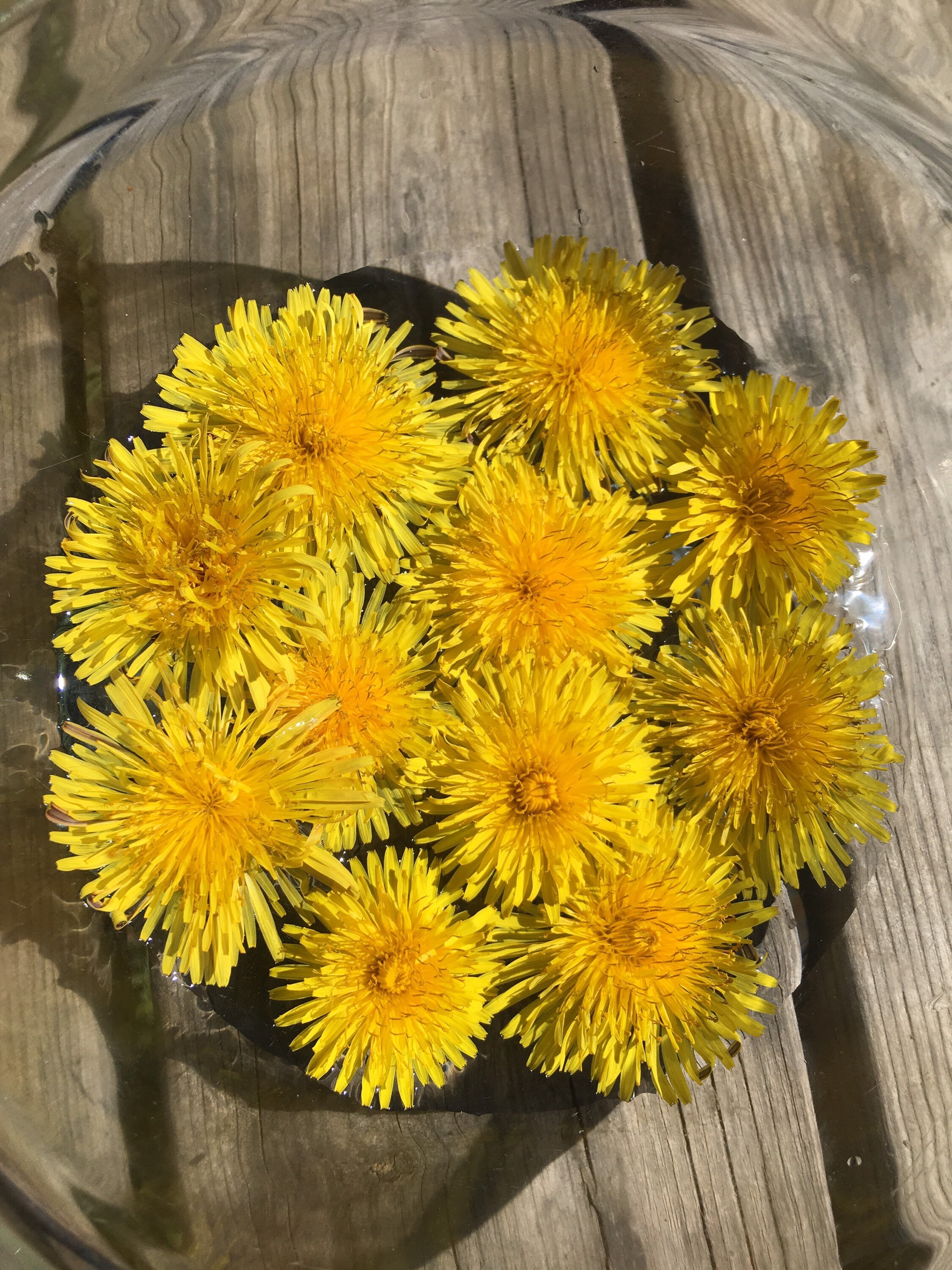 Essence de Fleur Pissenlit