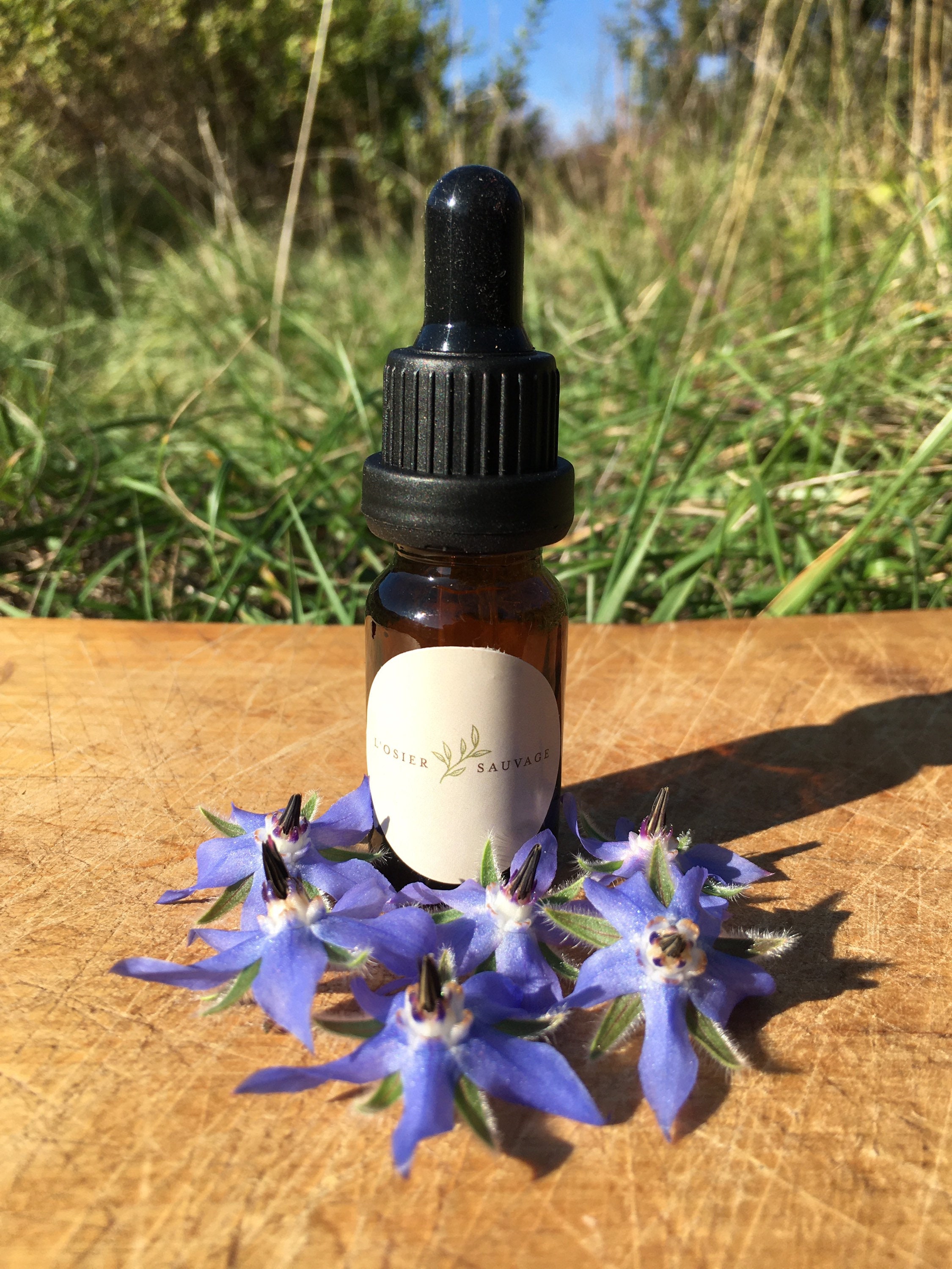 Essence de Fleur Bourrache