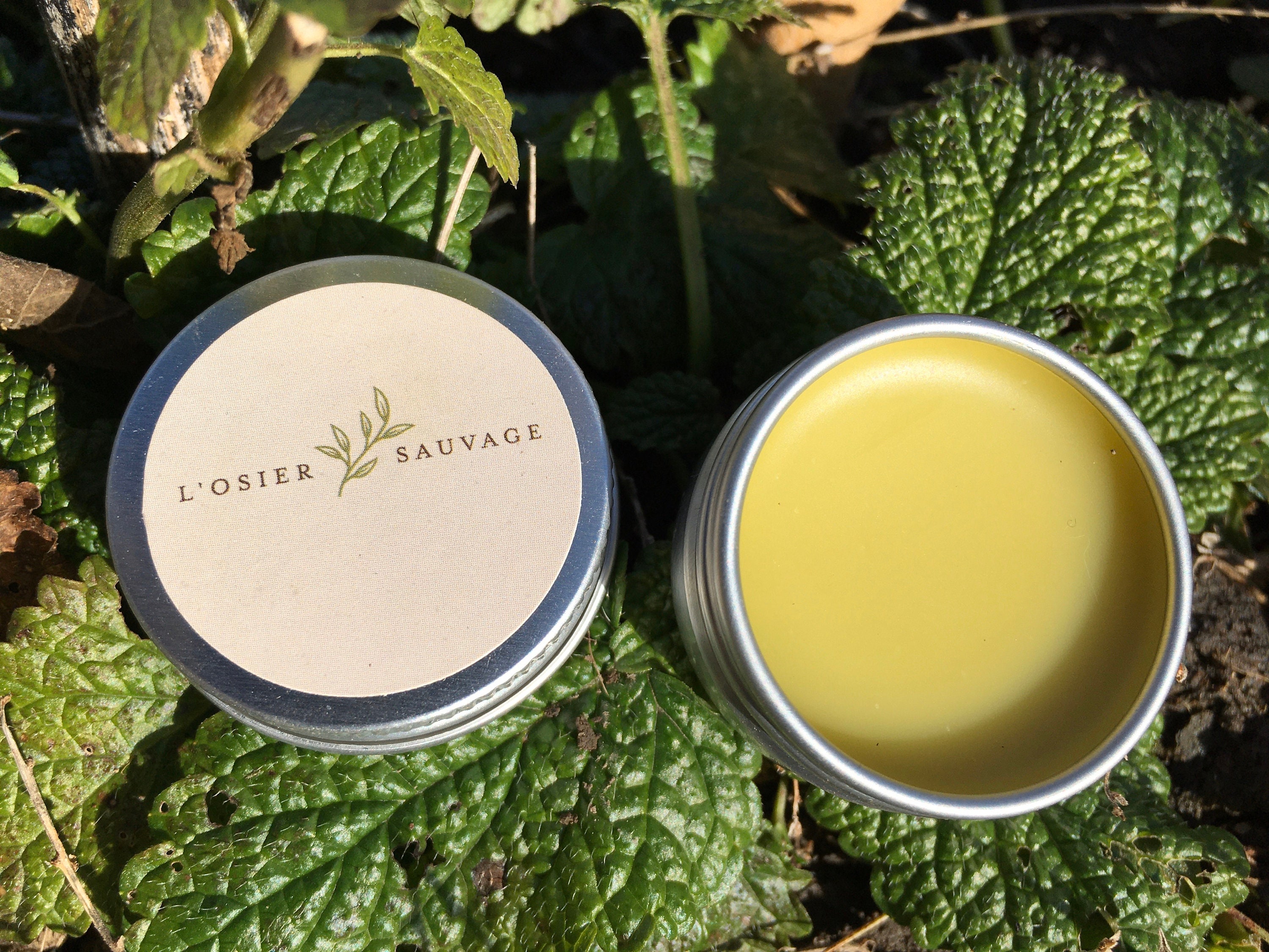 Lemon balm and self heal lip balm hand made Etsy