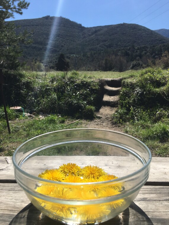 Heavy Heart Flower Essence. for Grief and Deep Sadness. Etsy