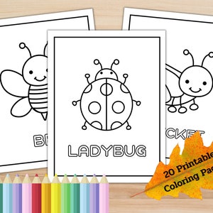 Insects Coloring Pages Bug Printable Coloring for Toddler Kids Digital Instant Download